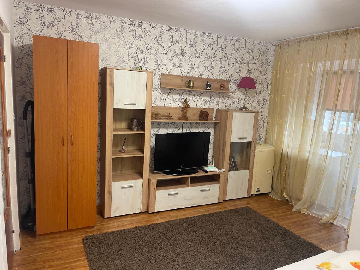 Garsoniera -Single Room 91 Bucarest Esterno foto